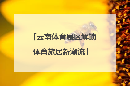 云南体育展区解锁体育旅居新潮流