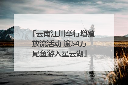 云南江川举行增殖放流活动 逾54万尾鱼游入星云湖