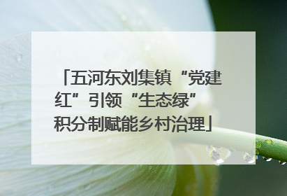 五河东刘集镇“党建红”引领“生态绿” 积分制赋能乡村治理