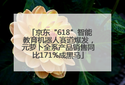 京东“618”智能教育机器人赛道爆发，元萝卜全系产品销售同比171%成黑马