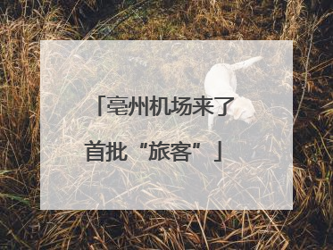 亳州机场来了首批“旅客”
