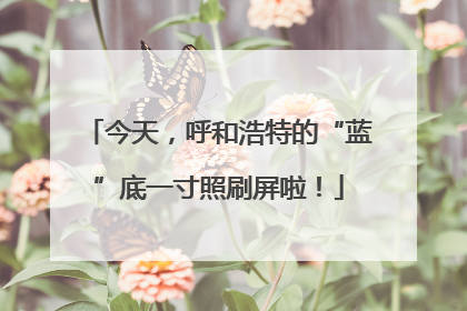 今天，呼和浩特的“蓝”底一寸照刷屏啦！