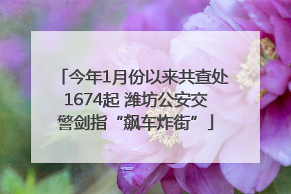 今年1月份以来共查处1674起 潍坊公安交警剑指“飙车炸街”
