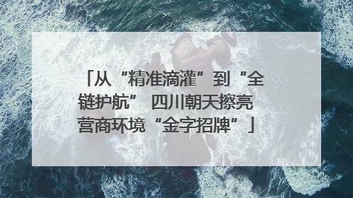 从“精准滴灌”到“全链护航” 四川朝天擦亮营商环境“金字招牌”