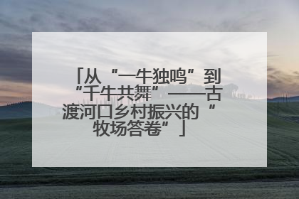 从“一牛独鸣”到“千牛共舞”——古渡河口乡村振兴的“牧场答卷”