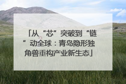 从“芯”突破到“链”动全球：青岛隐形独角兽重构产业新生态