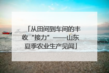从田间到车间的丰收“接力”——山东夏季农业生产见闻