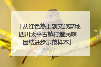 从红色热土到文旅高地 四川太平古镇打造民族团结进步示范样本