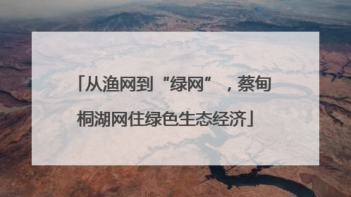 从渔网到“绿网”，蔡甸桐湖网住绿色生态经济