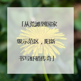 从荒滩到国家级示范区，阳新书写虾稻传奇