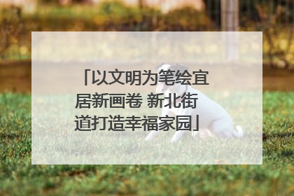 以文明为笔绘宜居新画卷 新北街道打造幸福家园