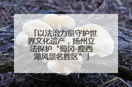以法治力量守护世界文化遗产，扬州立法保护“蜀冈-瘦西湖风景名胜区”
