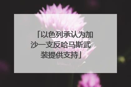 以色列承认为加沙一支反哈马斯武装提供支持