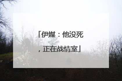 伊媒：他没死，正在战情室