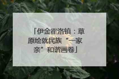 伊金霍洛镇:草原绘就民族“一家亲”和谐画卷