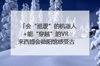 会“巡逻”的机器人+能“穿越”的VR 来西博会德阳馆感受古蜀文明与现代智造的时空对话｜西博视界