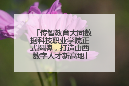 传智教育大同数据科技职业学院正式揭牌，打造山西数字人才新高地