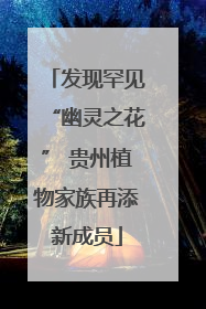 发现罕见“幽灵之花” 贵州植物家族再添新成员