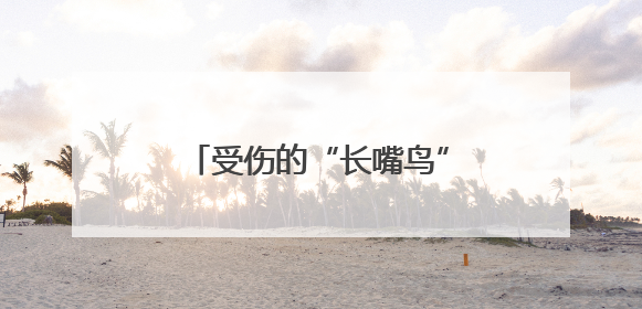 受伤的“长嘴鸟”造访徐州沛县！暖心救助守护自然精灵