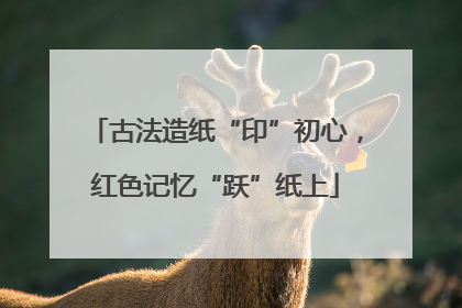 古法造纸“印”初心，红色记忆“跃”纸上