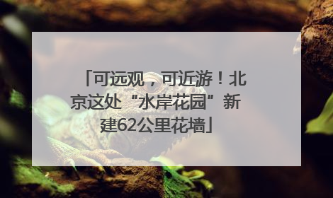 可远观，可近游！北京这处“水岸花园”新建62公里花墙