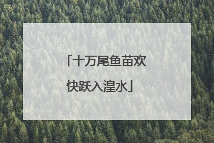 十万尾鱼苗欢快跃入湟水