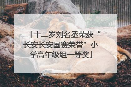 十二岁刘名丞荣获“长安长安国赛荣誉”小学高年级组一等奖