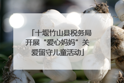 十堰竹山县税务局开展“爱心妈妈”关爱留守儿童活动