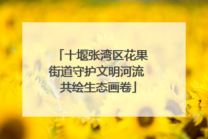 十堰张湾区花果街道守护文明河流 共绘生态画卷