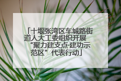十堰张湾区车城路街道人大工委组织开展 “聚力建支点·建功示范区”代表行动