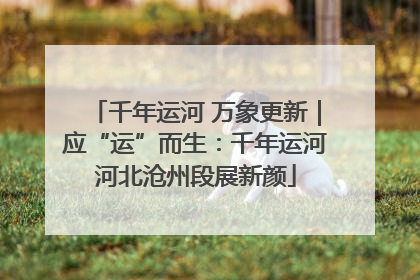千年运河 万象更新｜应“运”而生：千年运河河北沧州段展新颜