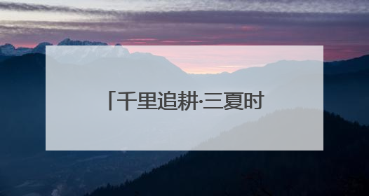 千里追耕·三夏时节丨科技“铁军”护航 麦收颗粒归仓