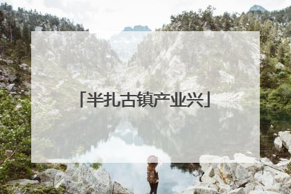 半扎古镇产业兴