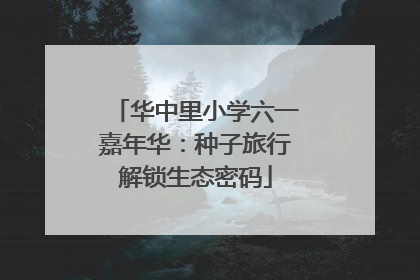 华中里小学六一嘉年华：种子旅行解锁生态密码