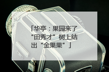 华亭：果园来了“田秀才”树上结出“金果果”
