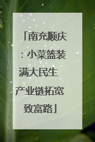 南充顺庆：小菜篮装满大民生 产业链拓宽致富路