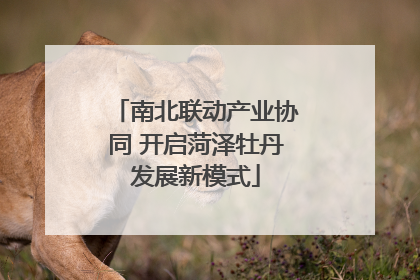 南北联动产业协同 开启菏泽牡丹发展新模式