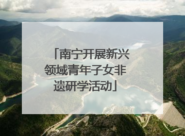 南宁开展新兴领域青年子女非遗研学活动