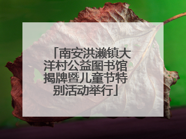 南安洪濑镇大洋村公益图书馆揭牌暨儿童节特别活动举行