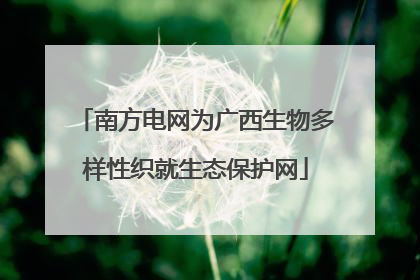南方电网为广西生物多样性织就生态保护网
