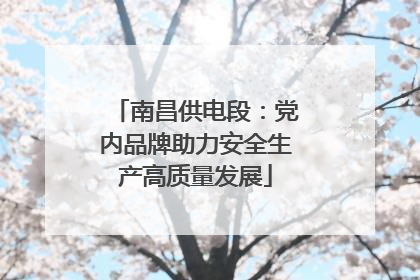南昌供电段：党内品牌助力安全生产高质量发展