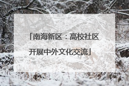 南海新区：高校社区开展中外文化交流