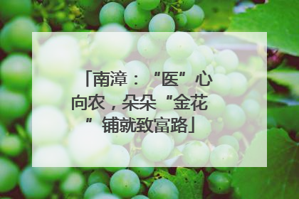 南漳：“医”心向农，朵朵“金花”铺就致富路