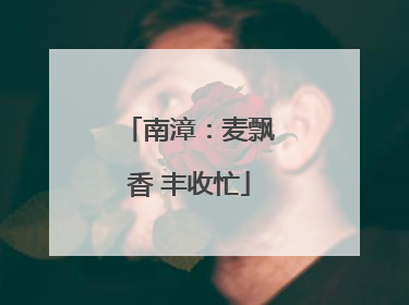 南漳：麦飘香 丰收忙