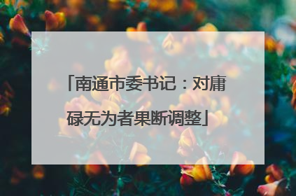 南通市委书记：对庸碌无为者果断调整