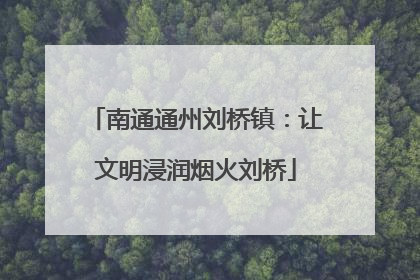 南通通州刘桥镇：让文明浸润烟火刘桥