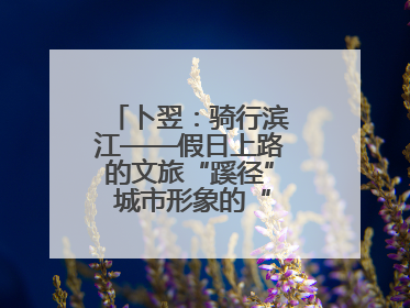 卜翌：骑行滨江——假日上路的文旅“蹊径” 城市形象的“低速凝视”