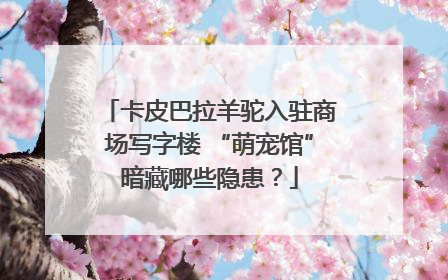 卡皮巴拉羊驼入驻商场写字楼 “萌宠馆”暗藏哪些隐患？