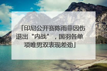 印尼公开赛陈雨菲因伤退出“内战”，国羽各单项唯男双表现差劲