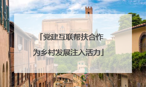 党建互联帮扶合作 为乡村发展注入活力